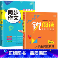 2册:同步作文 + 阅读真题 四年级下 [正版]2023新版 四年级下册同步作文语文人教版 4年级阅读课外书必读老师读物