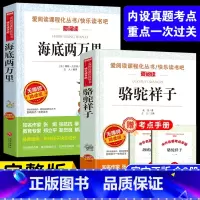 海底两万里+骆驼祥子 (七年级下册阅读书目) [正版]七年级下册阅读课外书籍 海底两万里 骆驼祥子初中读物老舍原著同步人