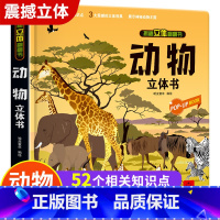 动物-3d立体书 带包装盒 [正版]我们的中国立体书 儿童3d立体书6岁以上6一8-10-12岁小学生一二三年级 儿童绘