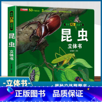 昆虫-3d立体书 带包装盒 [正版]我们的中国立体书 儿童3d立体书6岁以上6一8-10-12岁小学生一二三年级 儿童绘