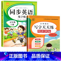 英语字帖+语文字帖(上册) 小学五年级 [正版]2023新 五年级上册英语字帖人教版pep手写体上下册同步练字帖小学生衡