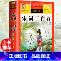 [选3本29.8元]宋词三百首 [正版]格林童话全集安徒生童话注音版 伊索寓言一千零一夜一二三年级1-3小学生上册阅读课
