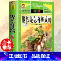 [选3本29.8元]钢铁是怎样炼成的 [正版]格林童话全集安徒生童话注音版 伊索寓言一千零一夜一二三年级1-3小学生上册