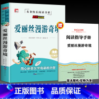 爱丽丝漫游奇境记(带考试重点) [正版]全套4册 六年级下册必读的课外书 快乐读书啊吧6下人教版鲁滨逊漂流记 汤姆索亚历