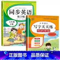 英语字帖+语文字帖(下册) 小学五年级 [正版]2023新 五年级上册英语字帖人教版pep手写体上下册同步练字帖小学生衡