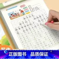 看图写话练字帖 二年级上 [正版]一二年级看图写话练字帖写作训练范本大全小学生每日一练练习本上册下册专项训练语文人教版儿