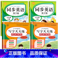 英语字帖+语文字帖(上册+下册) 小学五年级 [正版]2023新 五年级上册英语字帖人教版pep手写体上下册同步练字帖小