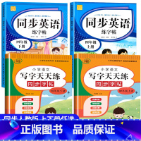 语文字帖+英语字帖(上册+下册) 小学四年级 [正版]小学生同步练字帖语文+英语 四年级上册下册人教版PEP 硬笔书法钢