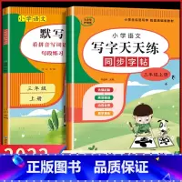 3年级上册[字帖+默写] 小学三年级 [正版]2023新 三年级上册+下册语文练字帖同步人教版小学生写字天天练每日一课一