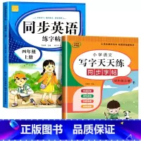 语文字帖+英语字帖(上册) 小学四年级 [正版]小学生同步练字帖语文+英语 四年级上册下册人教版PEP 硬笔书法钢笔字贴