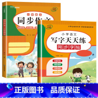 2册:同步作文+同步字帖 六年级下 [正版]六年级下册同步作文人教2024新版 小学生6年级语文满分作文大全范文模版精选