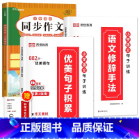 4册:同步作文+句子训练套装 六年级上 [正版]六年级下册同步作文人教2024新版 小学生6年级语文满分作文大全范文模版