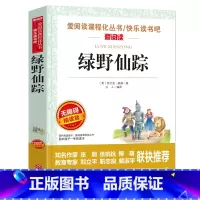 绿野仙踪 [正版]全集绿山墙的安妮原版 四年级课外书阅读 五年级课外阅读书籍阅读经典书目小学生儿童书籍读物青少年无障碍阅
