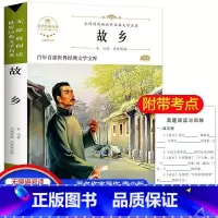 鲁迅经典文学(故乡) [正版]故乡 鲁迅原著 六年级阅读课外阅读书籍老师小学生3-4-6年级 鲁迅的书 散文作品集书籍