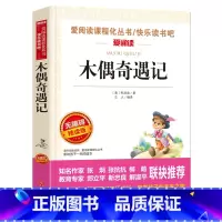 木偶奇遇记 [正版]全集绿山墙的安妮原版 四年级课外书阅读 五年级课外阅读书籍阅读经典书目小学生儿童书籍读物青少年无障碍