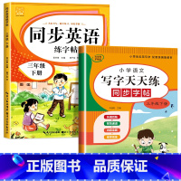 语文字帖+英语字帖(下册) 小学三年级 [正版]三年级上册同步练字帖语文+英语 语文下册人教版PEP 硬笔书法钢笔字贴每