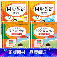 语文字帖+英语字帖(上册+下册) 小学三年级 [正版]三年级上册同步练字帖语文+英语 语文下册人教版PEP 硬笔书法钢笔