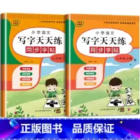 语文字帖(上册+下册) 小学三年级 [正版]三年级上册同步练字帖语文+英语 语文下册人教版PEP 硬笔书法钢笔字贴每日一