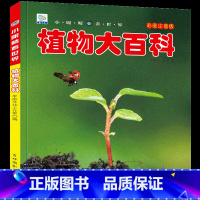 [选3件39元]植物百科 [正版]抖音同款世界兵器大百科全书注音版儿童小学生古代武器大全书籍中国军事枪械绘本科普小百科读