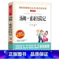 汤姆索亚历险记 [正版]爱丽丝梦游奇境记 六年级下册快乐读书吧阅读课外书籍原著青少年版小学生读物非必读书目儿童文学经典