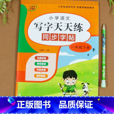 写字天天练(下册) 一年级下 [正版]一年级下册练字帖每日一练同步字帖练字同步人教版 小学语文笔画笔顺拼音生字识字表描红