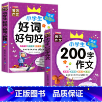 好词好句好段+200字作文 [正版]二年级必读课外书好词好句 小学生好词好句好段大全一二三年级语文作文素材每日积累 优美