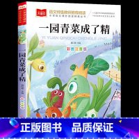 一园青菜成了精[彩图注音版] [正版]全套4册一年级阅读课外书注音版 萝卜回来了一园青菜成了精小鹿斑比小马过河注音版 适