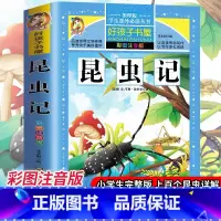 [选3本29.8元]昆虫记 [正版]钢铁是怎样炼成的注音版小学生一年级二年级三年级课外阅读书籍6-7-8-9-10-12