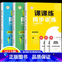 [全3册]语文+数学+英语 七年级下 [正版]七年级下册同步训练课课练一课一练初一下册英语语文数学练习册全套基础专项训练