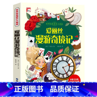 爱丽丝漫游奇境记(选4本29.8元) [正版]谜语大全三百首三百则注音版 儿童猜谜语的书精选小学生一年级阅读课外书籍二年