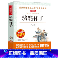 骆驼祥子 [正版]8册老舍经典作品全集 骆驼祥子原着 茶馆四世同堂 猫草原北京的春节小学生读本三四五六年级课外阅读书籍散