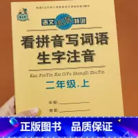 看拼音写生字词语 二年级上 [正版]二年级上册看拼音写词语生字注音 语文人教版专项小学生注音生字拼音拼读训练组词造句看拼