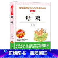 母鸡 [正版]8册老舍经典作品全集 骆驼祥子原着 茶馆四世同堂 猫草原北京的春节小学生读本三四五六年级课外阅读书籍散文集