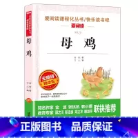 母鸡 [正版]8册老舍经典作品全集 骆驼祥子原着 茶馆四世同堂 猫草原北京的春节小学生读本三四五六年级课外阅读书籍散文集