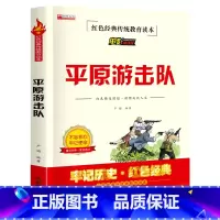 平原游击队(2件以上8折) [正版] 三毛流浪记全集三年级课外书 四年级五年级课外阅读书籍张乐平著抓帧漫画小学生红色经典