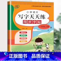 语文写字天天练[单本] 一年级上 [正版]一年级上册同步练习册 小学语文默写全能手同步人教版 看拼音写词语生字注音 背诵
