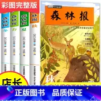 四年级下册快乐读书吧森林报全套完整版 4册 [正版]十万个为什么米伊琳苏联快乐读书吧四年级下册阅读课外书籍中国的灰尘的旅