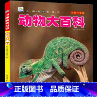 [任选3本39元]动物百科 [正版]飞机百科全书注音版图书儿童书籍科普航空大百科交通工具小百科绘本读物全套科学认知少儿3