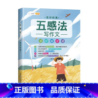 (单册)五感法之素材积累 小学通用 [正版]作文系列五感法写作文语文写作技巧方法素材积累三到六年级作文书语文四五六三年级