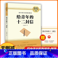 给青年的十二封信(无删减) [正版]2023人教版初中课外阅读名著钢铁是怎样炼成的·傅雷家书·经典常谈完整版八年级上下册