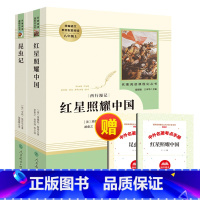 [必读两册]昆虫记+红星照耀中国 [正版]2023人教版初中课外阅读名著钢铁是怎样炼成的·傅雷家书·经典常谈完整版八年级