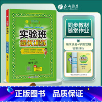 6上[提优训练]数学◆人教版 小学通用 [正版]2024春新版实验班提优训练三年级上二年级上册下册一四年级五六年级语文人