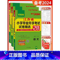 备考2024[3本]语数英-江苏专用 小学升初中 [正版]小升初江苏省小学毕业升学考试试卷精选28套卷语文数学英语小考总