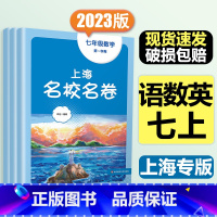 7年级上册 语数英(全3册)大字版 小学通用 [正版]2024上海名校名卷二年级一二三四五年级六七八九上下册语文数学英语
