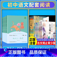 [全套9册]和大人一起读+写给青少年的古文观止 [正版]读读童谣和儿歌一年级下册和大人一起读上人民教育出版社全套4册快乐