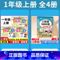 1年级上 语数英(全3册)+口算10000道 小学通用 [正版]2024一卷搞定五年级上沪教版一二年级三四六年级七八九年