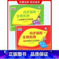 3上[语文+数学](2本江苏专用) 小学通用 [正版]2024春亮点给力同步跟踪全程检测及各地期末试卷精选一二 三四4五