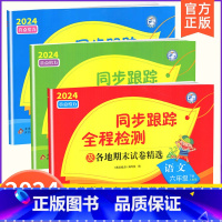 6下[语文+数学+英语](3本江苏专用) 小学通用 [正版]2024春亮点给力同步跟踪全程检测及各地期末试卷精选一二 三