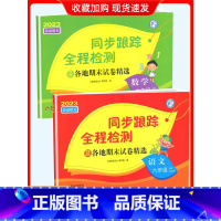 6上[语文+数学](2本江苏专用) 小学通用 [正版]2024春亮点给力同步跟踪全程检测及各地期末试卷精选一二 三四4五