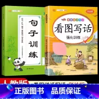 [全套2本]看图写话+句子训练 二年级上 [正版]看图写话一年级二年级上册下册人教版老师每日一练专项强化训练范文大全小学